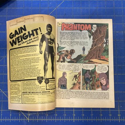 Phantom #59 GOLD KEY /CHARLTON Comics 1973 FN