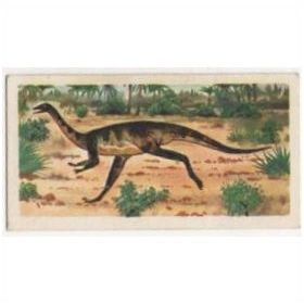 1972 Brooke Bond Tea card Prehistoric Animals Card no.14 Ornithomimus