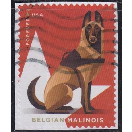 USA, 2019 (55c) Military Working Dogs, SG 6021 (Scott #5407), used on piece.