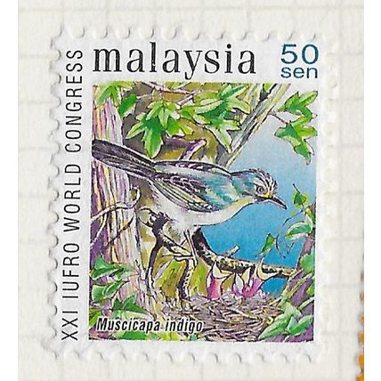 MALAYSIA 2000 FORESTRY RESEARCH CONGRESS 11th INTERNATIONAL UNION BIRD 50s USED