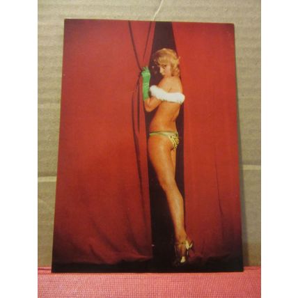 PROGRAMME, THE WINDMILL THEATRE, VICTORIA AND ALBERT MUSEUM unused postcard =