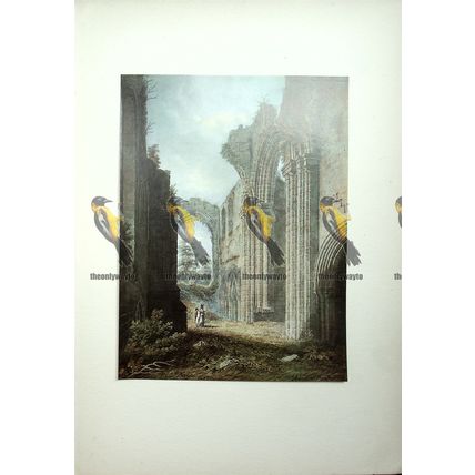 Furness Abbey, Lancashire, By Edward Dayes, Book Illustration (Print), 1922