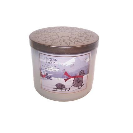 Bath & Body Works Frozen Lake 3 Wick Scented Candle 14.5 oz Lavender Eucalyptus