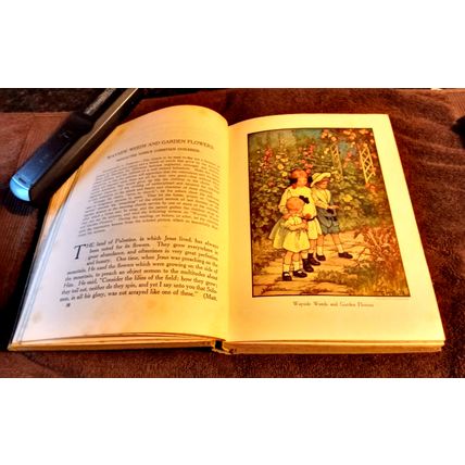 With The Children On Sunday By Sylvanus Stall 1911 Great Condition