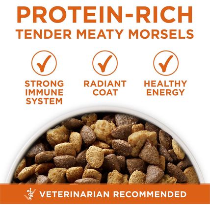 Purina ONE plus Healthy Weight High-Protein Dog Food Dry Formula - 40 Lb. Bag