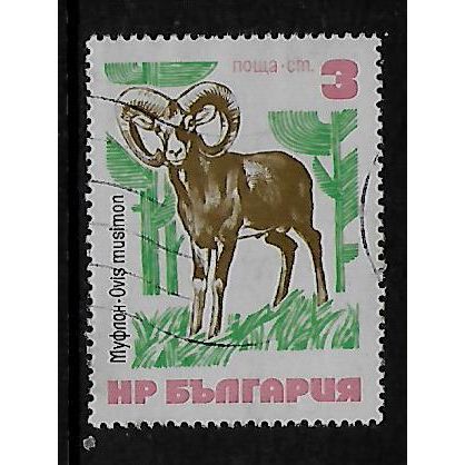 BULGARIA 1973 BULGARIAN FAUNA 3s MOUFLON SG 2245 FINE USED