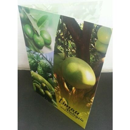 Malaysia Citrus 2018 Fruits Pomelo Plant (folder) *limited