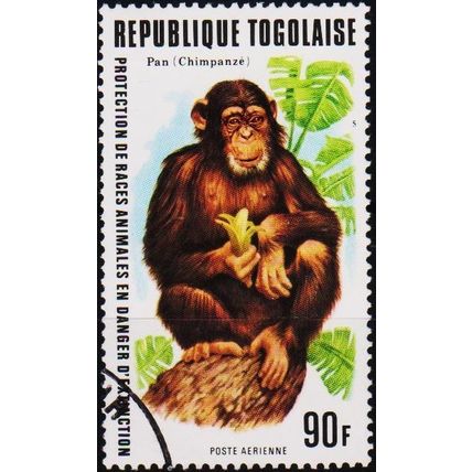Togo. 1977 90f S.G.1219 Used