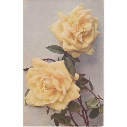 GB 1909 Yellow Rose by Rommier & Jonas Floral series see other listings