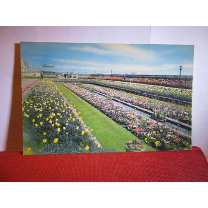 SUNKEN GARDENS, BRIGHTON SUSSEX unused postcard dated 1969 =