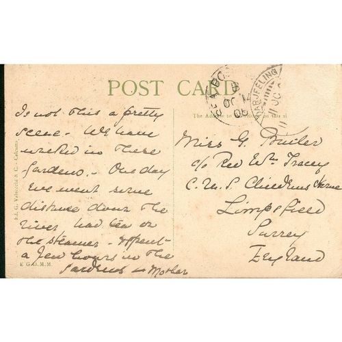 Antique India PC 1905 - Calcutta - Avenue Of Palms, Botanical Gardens