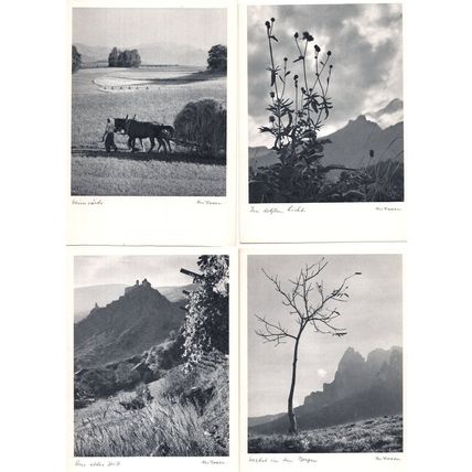 Walter Niessen Verlag German Germany Farm 4x Old Postcard s
