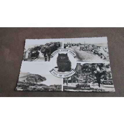 1950s Real Photo Postcard - Isle of Sheppey scenes, Kent - Lucky Black Cat