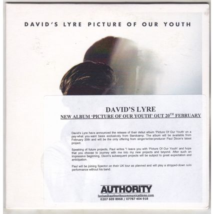 David's Lyre : Picture Of Our Youth. (2011) PROMO CD Album