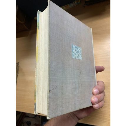 1926 "THE BOY'S BUDGET" FICTION LARGE ILLUSTRATED HARDBACK BOOK (P4)