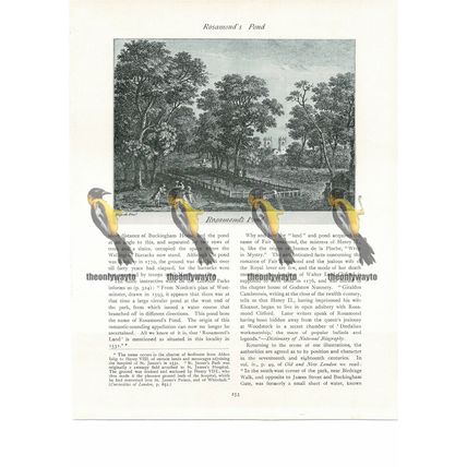Rosamunds Pond, Book Illustration (Print), 1934