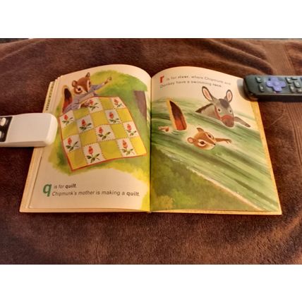 Chipmunk's By Roberta Miller (C) Edition 1969