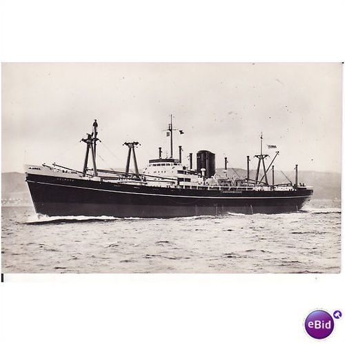 old photograph - `Palmara`