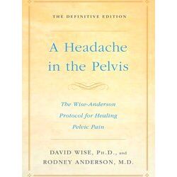 A Headache In The Pelvis The Wise Anderson Protocol For Healing Pelvic Pain, The