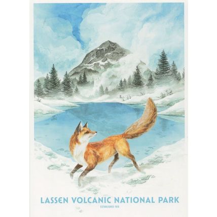 Lassen Volcanic National Park California Lava Rocks Fox USA Postcard