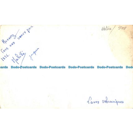 R055299 Old Postcard. Land