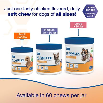 Advanced Soft Chews Hip and Joint Support Supplement for Medium Dogs 60 Count by