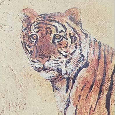 Tiger Print Matted and Wood Framed 23" X 19" Stripes Wall Sturdy Map Africa