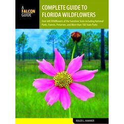 Wildflowers In The National Parks Series Complete Guide To Florida Wildflowers