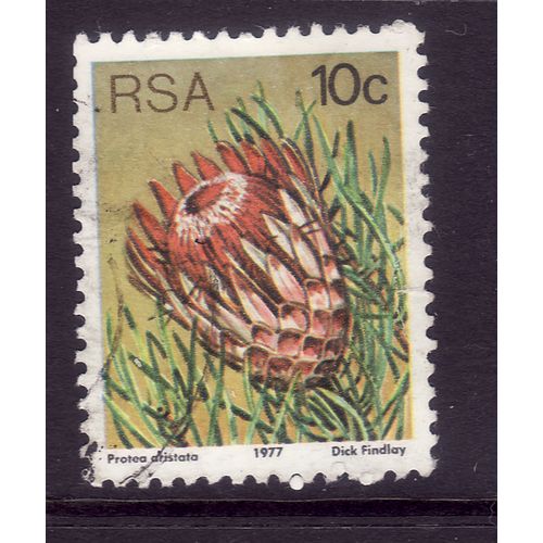 SOUTH AFRICA 1977 SUCCULENTS 10c PARISTATA SG 423 FINE USED#2