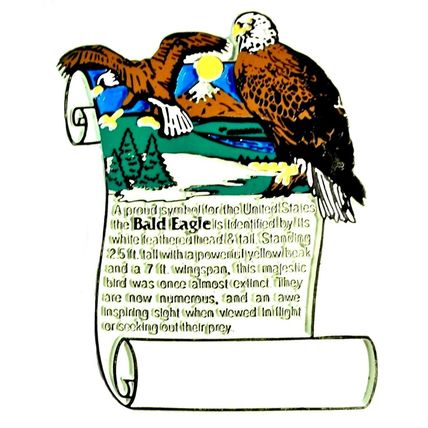 Bald Eagle History Fridge Magnet