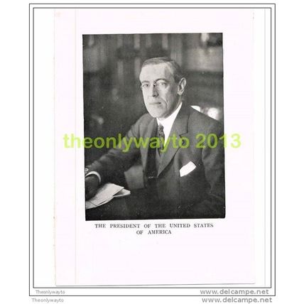 THE PRESIDENT OF THE USA, BOOK ILLUSTRATION c1914