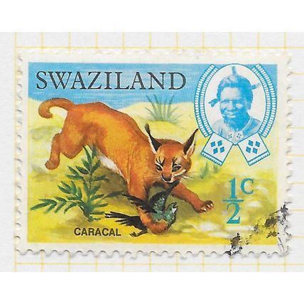 SWAZILAND 1969 WILD ANIMALS NATIVE 0.5c CARACAL SG161 161 SG