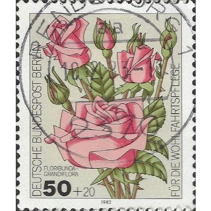 BERLIN, FLOWER, Rose, pink floribunda, grey 1982, 50+20pf, #3