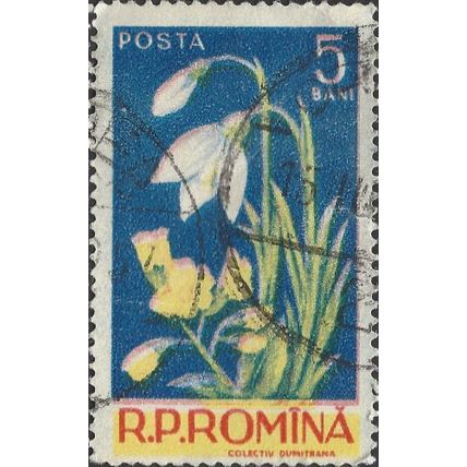 ROMANIA, FLOWER, Snowdrop, Galanthus nivalis, blue 1956, 5bani
