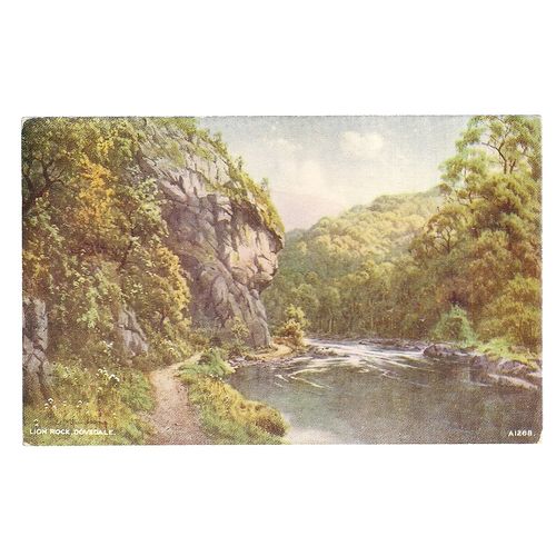 LION ROCK, DOVEDALE a Valentine & Sons Ltd unused postcard A1268 vintage =