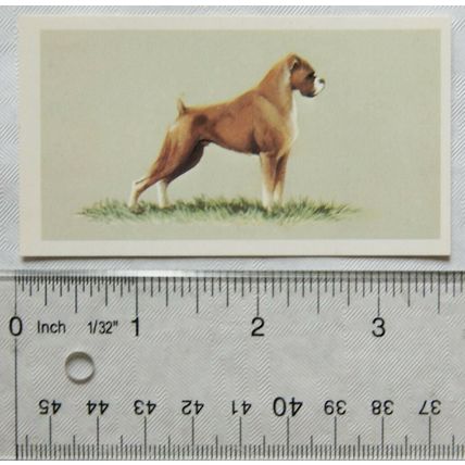 1979 Grandee Top Dogs Card No. 17 The Boxer