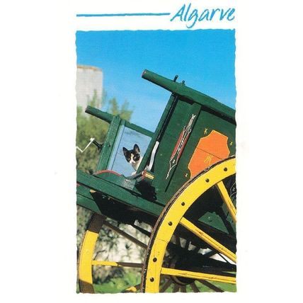 Cat In Algarve Portugal Gypsy Gipsy Fairground Style Caravan Trailer Postcard