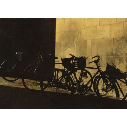 East Anglia Cambridge Essex Bicycles Shadows Rare Postcard