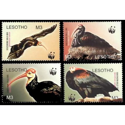 Lesotho WWF Southern Bald Ibis Birds 4v 2004 MNH SG#1934-1937 MI#1895-1898