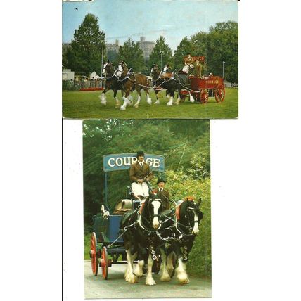 Animals COURAGE SHIRE HORSES Two Postcards