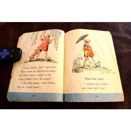 Rides And Slides By Mabel O'Donnell & Alice Carey 1941 Paperback Good Shape