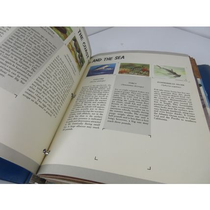 LOT of 16 Wildlife Conservation Stamp Albums All COMPLETE 1950s,1960,1970,1980s
