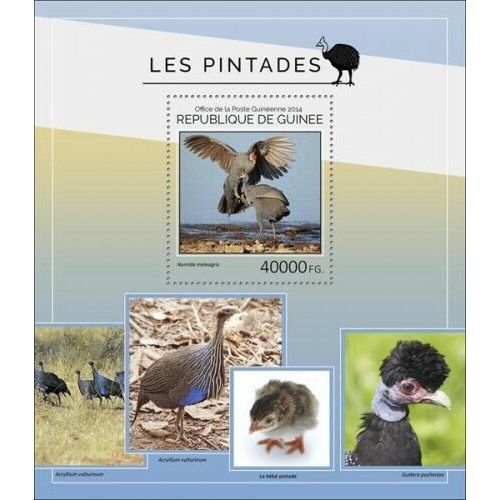 GUINEA 2014 SHEET MNH GUINEAFOWLS BIRDS PINTADES OISEAUX GALLINA DE GUINEA 4A