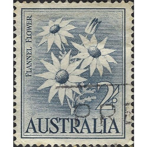 AUSTRALIA, FLOWER, Flannel Flower, blue 1959, 2/-, #5