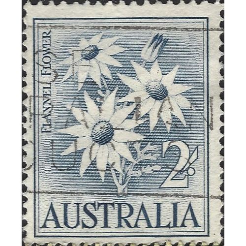 AUSTRALIA, FLOWER, Flannel Flower, blue 1959, 2/-, #4