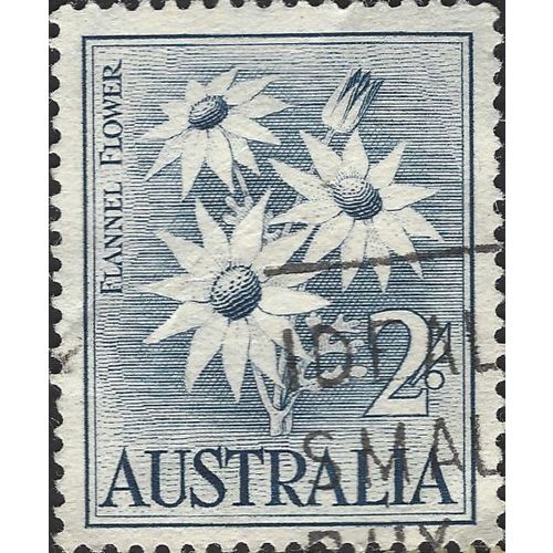 AUSTRALIA, FLOWER, Flannel Flower, blue 1959, 2/-, #6