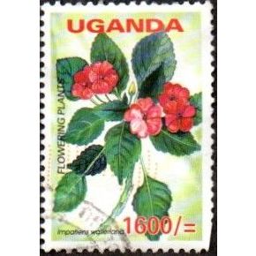 Uganda. 1600/= Value. Impatiens Wallediara . Fine Used
