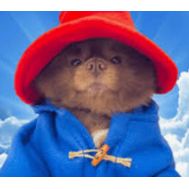 2.5 Bertram The Pomeranian (BERT) MINING-CONTRACT Crypto Currency (BERT)