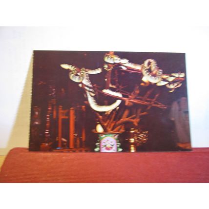SNAKES ON THE ALTAR, SNAKE TEMPLE, PENANG, MALAYSIA unused postcard =