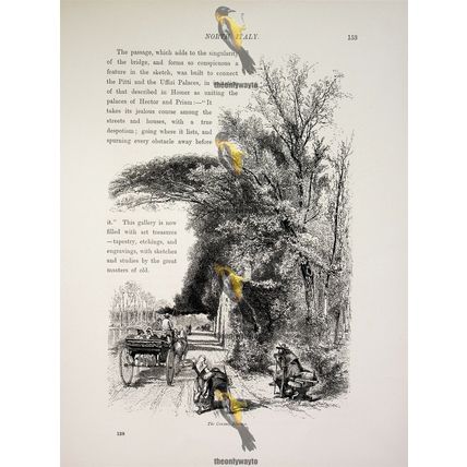 Florence, Cascine, North Italy, Book Illustration (Print), c1875